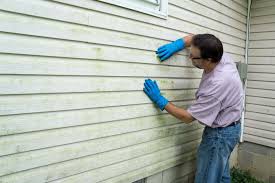 Affordable Siding Repair and Maintenance Services in Hansen, ID